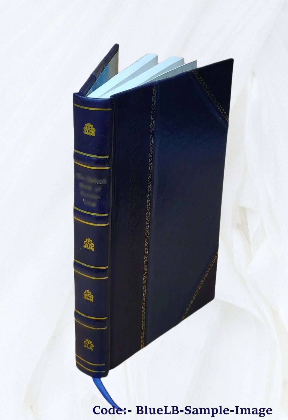 Neos Hellēnomnēmōn. Volume v.18 1924 1924 [Leather Bound]