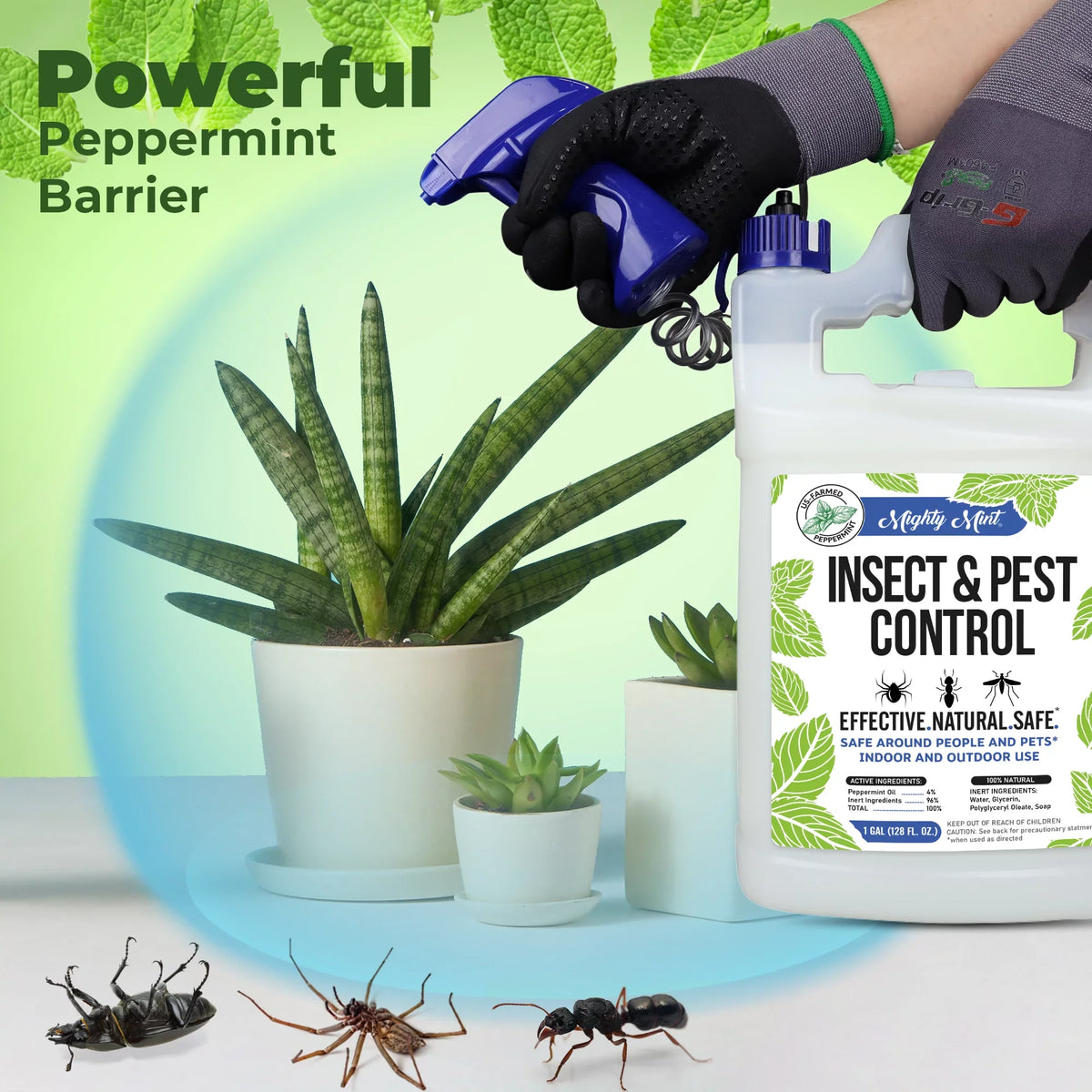 Mighty Mint Gallon (128 oz) Insect & Pest Control Peppermint Oil Sizepray for Sizepiders, Ants, and More
