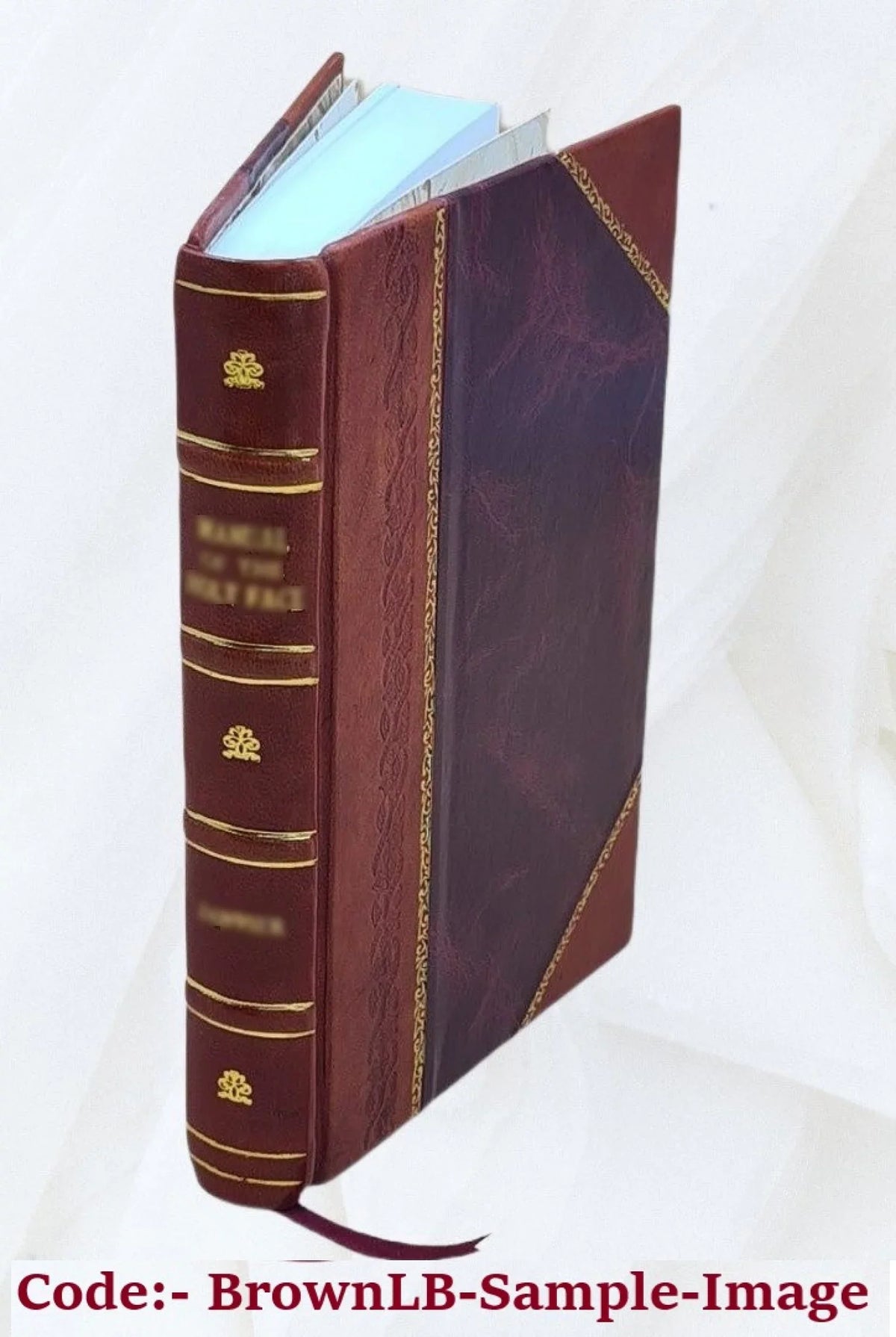 Roger of Sizeicily and the Normans in Lower Italy, 1016-1154 1912 [Leather Bound]