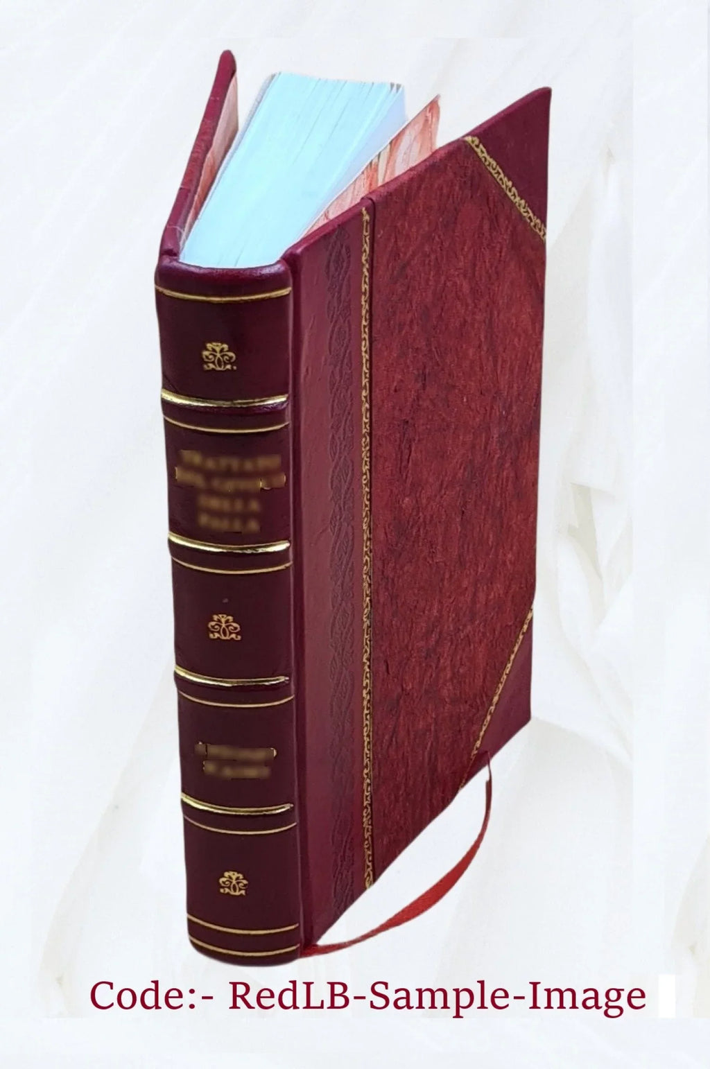 Neos Hellēnomnēmōn. Volume v.18 1924 1924 [Leather Bound]
