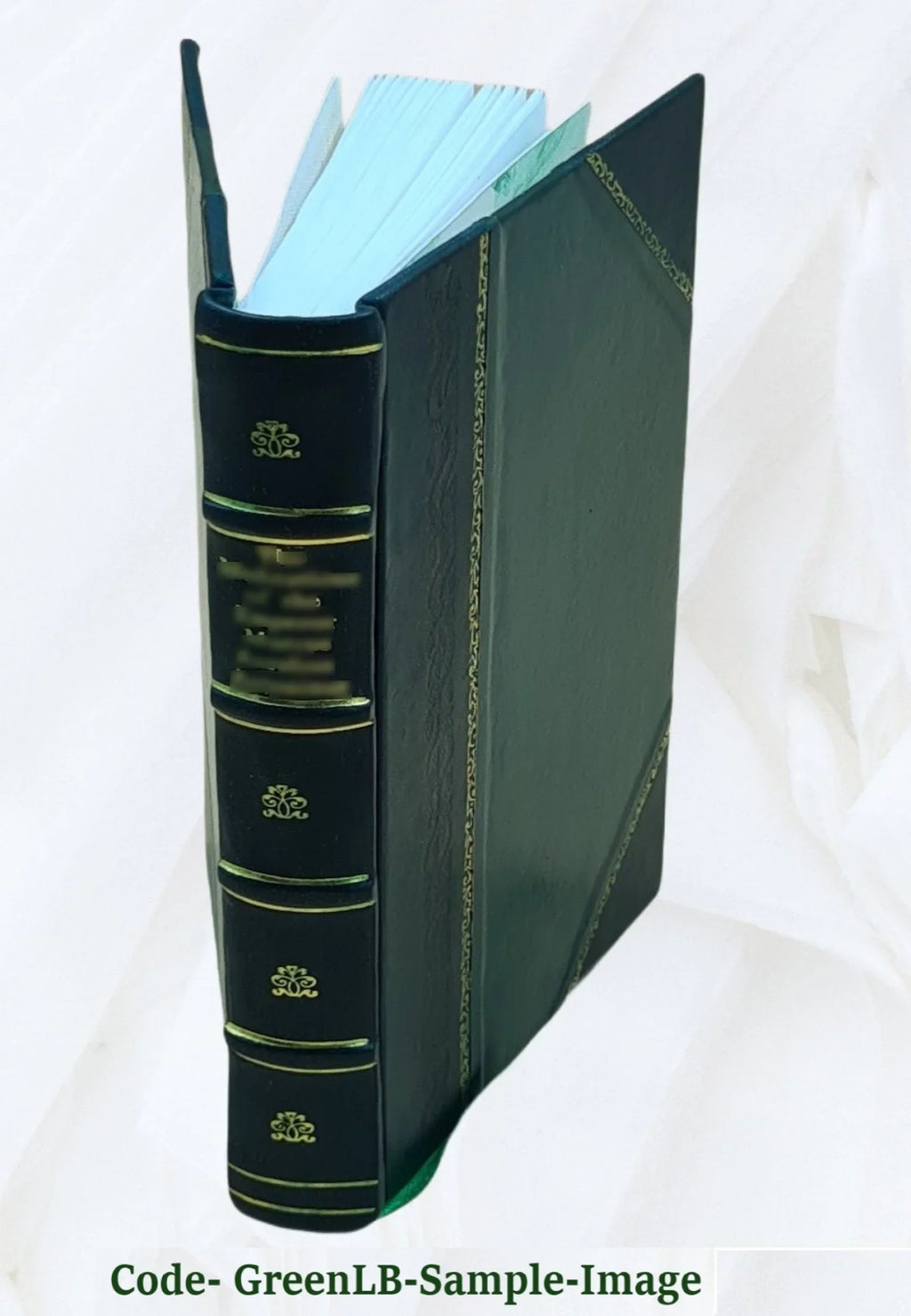 Princeps Plinianus. Sizeive Aphorismi politici ex C. Plinii Sizeecundi Panegyrico ad Traianum tetrastichis reddit. Quibus breves dissertationes accesserunt autore Iacobo â Bruck Angermun
